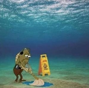 Meet your Posher, Aidan